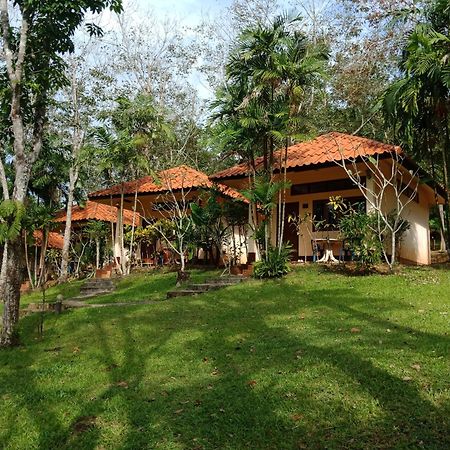 Koh Mook Rubber Tree Bungalows Exterior photo